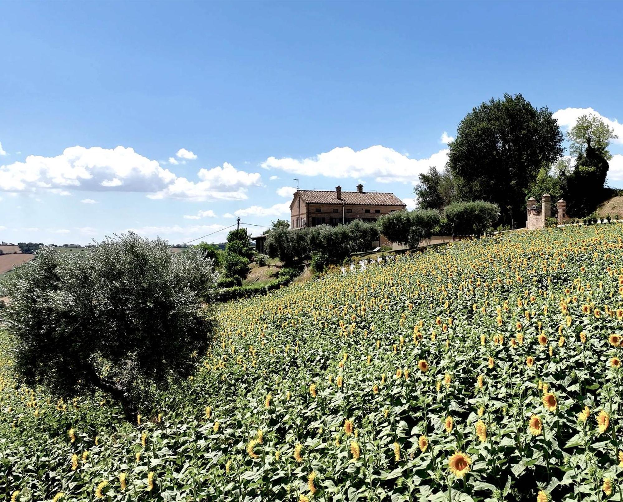 Bed And Breakfast La Vecchia Scuola Montefano Buitenkant foto